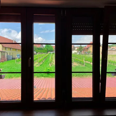 Mayer Pince Panzio 3* 维拉尼