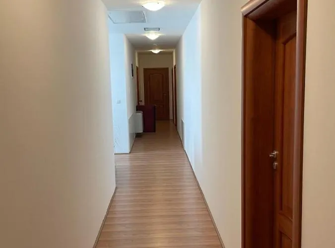 Mayer Pince Panzio 3*