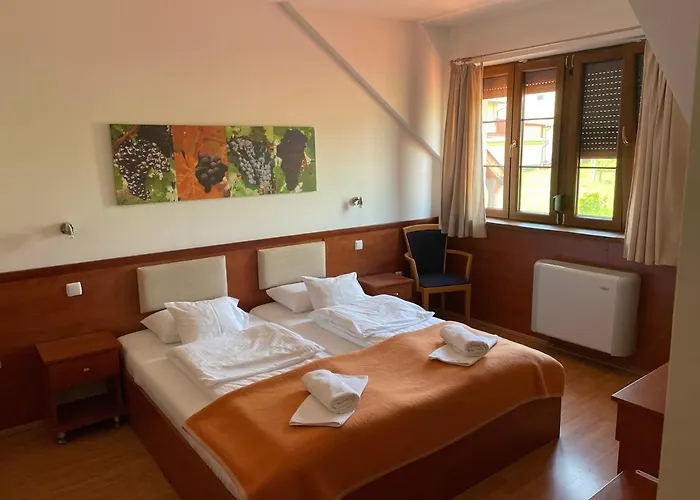 Mayer Pince Panzio Villány